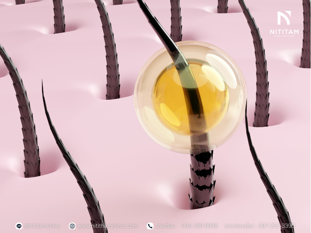 ดูแลและฟื้นฟูเส้นผม